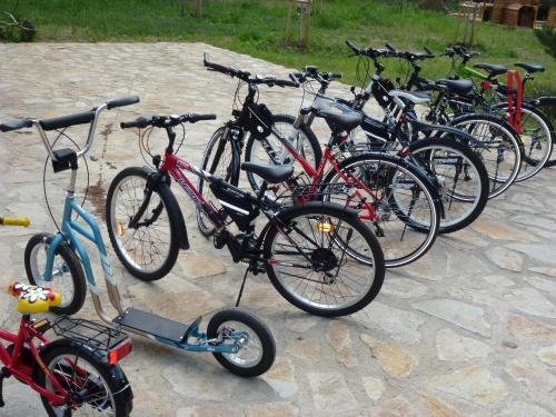 a group of bikes parked next to each other at Penzion U hájovny u pískoven - Vlkov in Vlkov