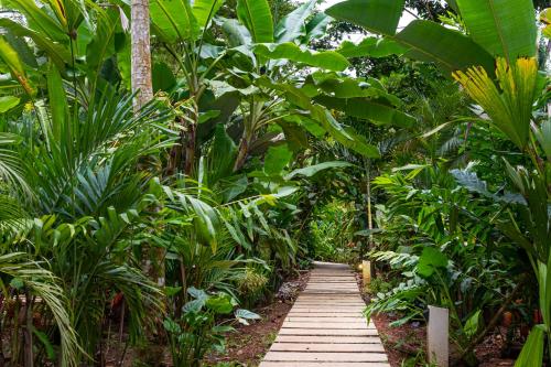 a wooden pathway through a lush green forest at La Paz del Caribe Adults Only in Puerto Viejo