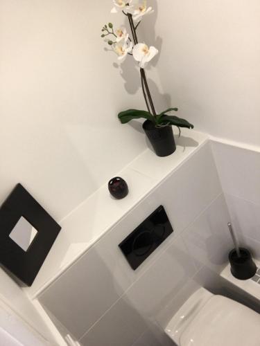 une étagère blanche avec une plante au-dessus des toilettes dans l'établissement A deux pas des Champs Elysées, à Paris