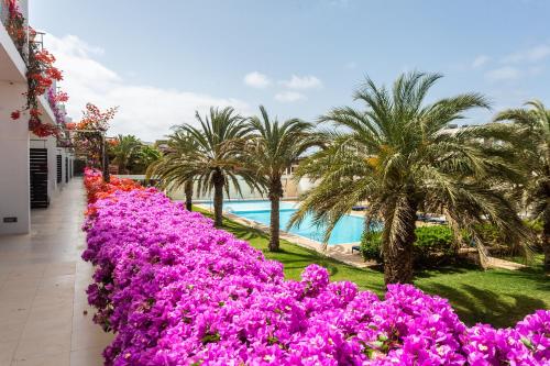 Piscine de l'établissement Hotel Dunas de Sal ou située à proximité