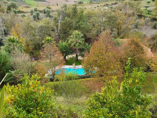 a swimming pool in a garden with trees and bushes at Quinta do Vale Encantado "the Valley" - Santarém - Portugal in Calhariz