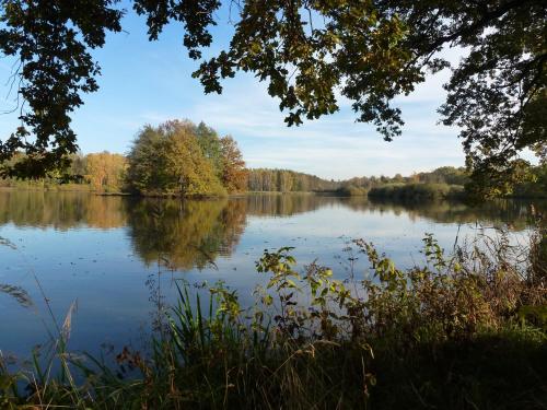 a view of a lake with trees in the background at Penzion U hájovny u pískoven - Vlkov in Vlkov