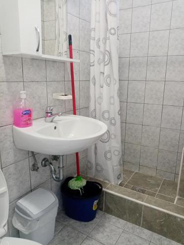 a bathroom with a sink and a toilet and a shower curtain at Apartmani Bosco in Tivat