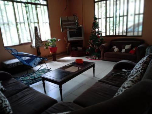 Sala de estar con árbol de Navidad y mesa de centro en Casa de descanso - Finca Los Primos, en San Luis de Cubarral