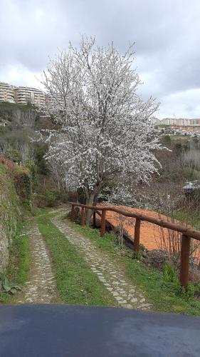 Φυσικό τοπίο κοντά σε αυτό το κατάλυμα σε φάρμα
