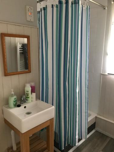 a bathroom with a sink and a shower curtain at 310 Norton Park in Dartmouth