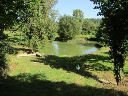 vista su un laghetto con due uccelli nell'erba di Artémis a Caillavet