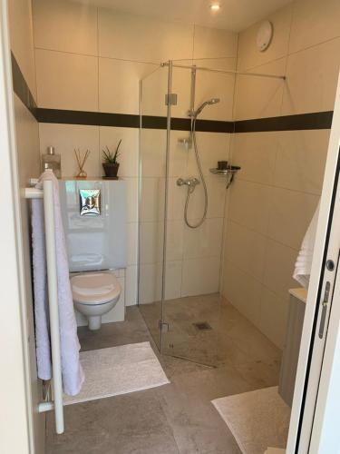 een badkamer met een toilet en een glazen douche bij Villa Elimia avec piscine chauffée in Antibes