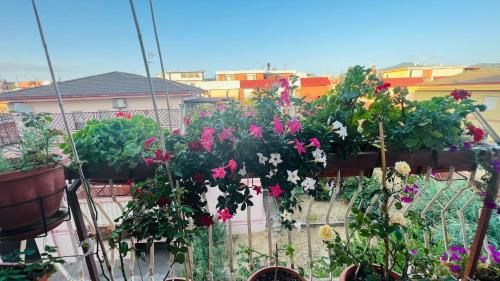 a garden with flowers and plants on a balcony at Oasi di Serenità in Marino