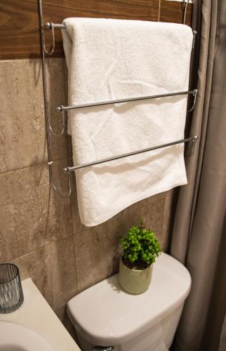 a towel rack above a toilet with a plant on it at Departamento Orellana 9 in Chetumal