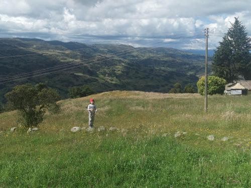 a person standing on a hill in a field at Buenavista Hotel Campestre - Pesca in Pesca
