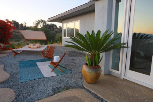 a plant in a pot sitting next to a house at Luxury Modern Chateau near wineries & beaches in Fallbrook