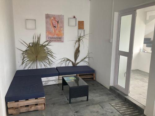 a blue bench in a room with a plant at BREEZE DU NORD in Grand Baie