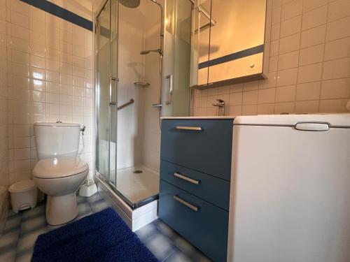 La salle de bains est pourvue de toilettes et d'une douche en verre. dans l'établissement Appartement Saint-Jean-de-Luz, 2 pièces, 2 personnes - FR-1-239-804, à Saint-Jean-de-Luz