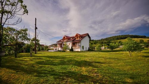 a house in a field with a grassy yard at Vila Ţara Haţegului in Haţeg