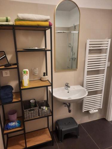 a bathroom with a sink and a mirror at Apartmán Kurt in Mariánské Lázně