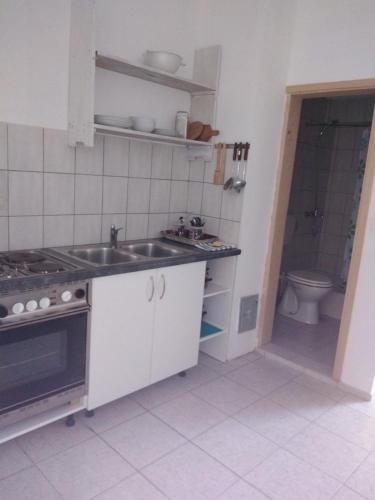 a small kitchen with a sink and a toilet at Apartment Zola in Gornji Karin