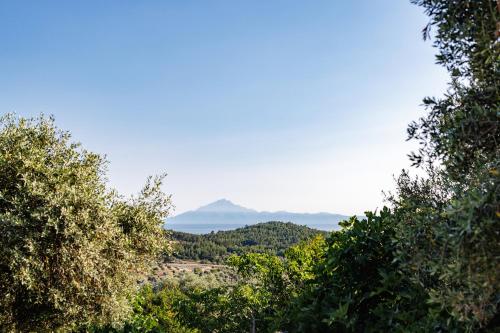 a view of a mountain from between trees at Helia All Seasons Apartments in Astris