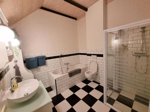 a bathroom with a sink and a toilet and a shower at B&B de Hugt in Ulrum