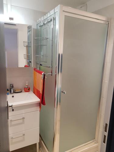 ein Bad mit einer Dusche und einem Waschbecken in der Unterkunft appartement à 300m de la plage in Saint-Georges-de-Didonne