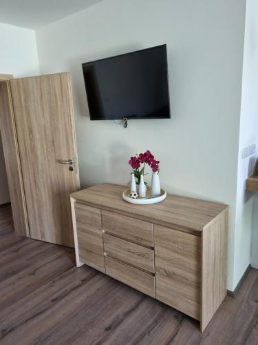TV a/nebo společenská místnost v ubytování Nový Apartmán v areálu Wellness hotelu Frymburk