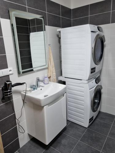 Nový Apartmán v areálu Wellness hotelu Frymburk tesisinde bir banyo