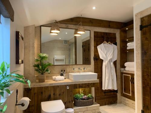 Dovecote Cotswold Cottages في تشيبينغ نورتون: حمام مع حوض ومرحاض ومرآة