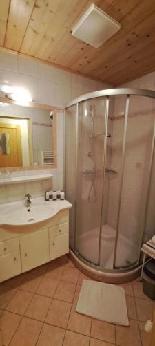 W łazience znajduje się prysznic i umywalka. w obiekcie BioBauernhof Fresoldhof w Schladming
