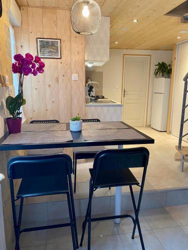a kitchen with a large table with two chairs and a counter at Gîte confort à Lamothe d Alès in Lavergne
