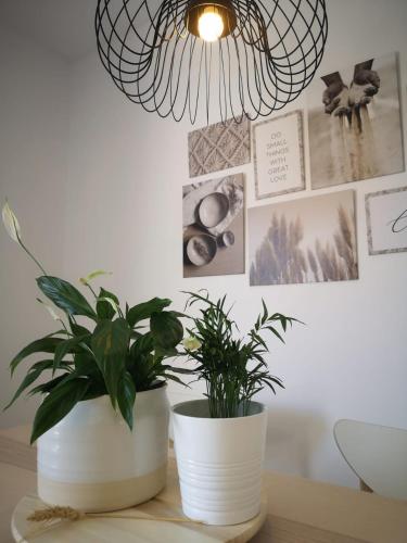 Apartamento Suite Arco de la Villa,solo familia y parejas,PARKING GRATUITO