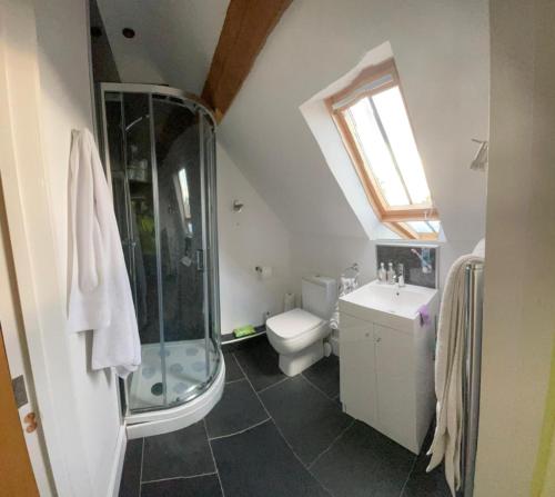 a bathroom with a shower and a toilet and a sink at The Stables in Frizington