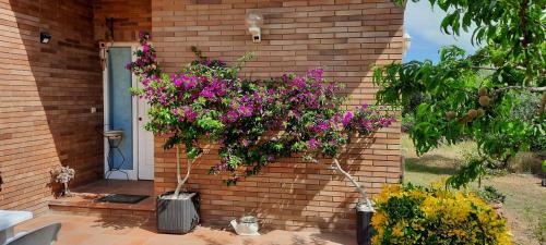 Un jardín fuera de Can Carbó