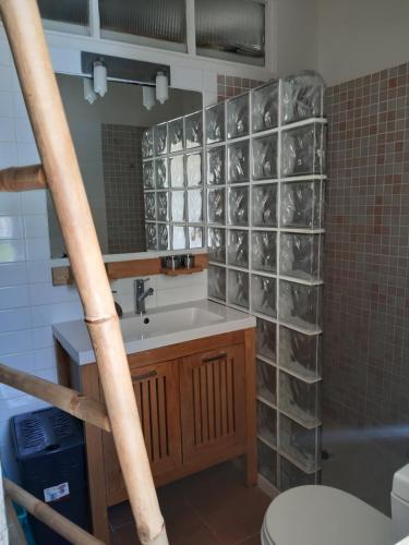 La salle de bains est pourvue d'un lavabo, de toilettes et d'un miroir. dans l'établissement Studio com vista mar, à Carvoeiro