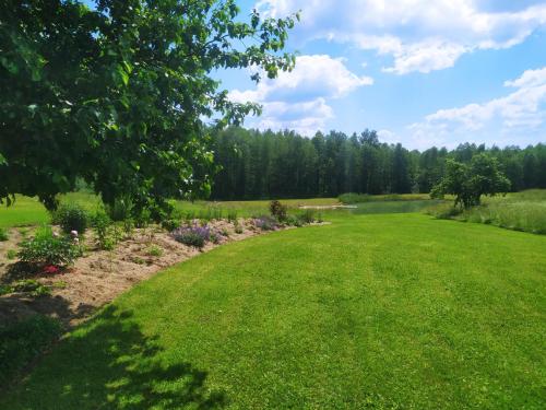 a field with a pond and trees in the background at Kačiūniškis in Kaciūniškiai