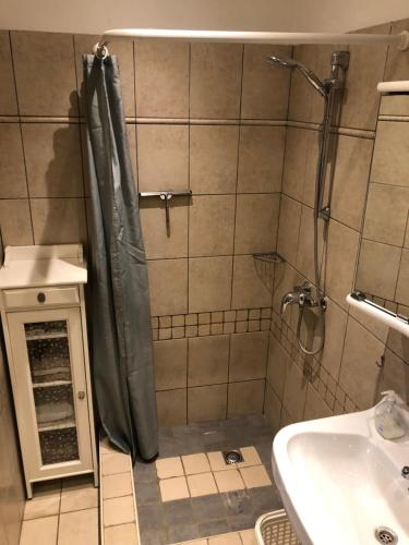 een badkamer met een douche en een wastafel bij Huize Ouwervelden in Wouwsche Plantage