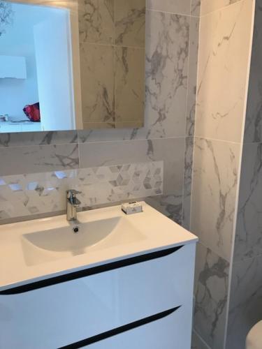 a bathroom with a sink and a mirror at Studio indépendant 35M2, avec grand jardin, gare 5 min, parkings, wifi THD, prox plage in Vannes