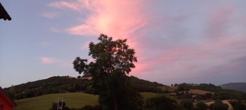 a tree on a hill with a cloudy sky at A casa di Matisse - appartamento vacanze in Urbino