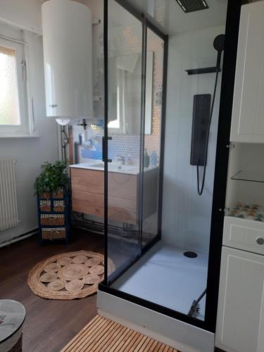une grande douche en verre dans une chambre avec salle de bain dans l'établissement Le soleil Dunkerquois, à Dunkerque
