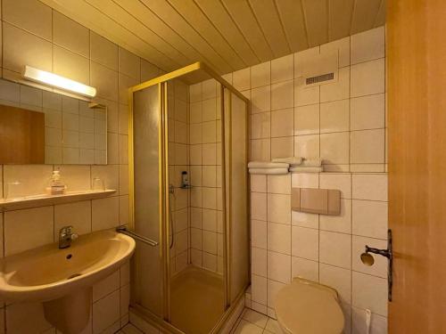 a bathroom with a shower and a sink and a toilet at Pension Memminger in Windorf