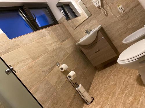 ビシェウ・デ・ススにあるCasa Mocaniteiのバスルーム(トイレ、洗面台、バスタブ付)