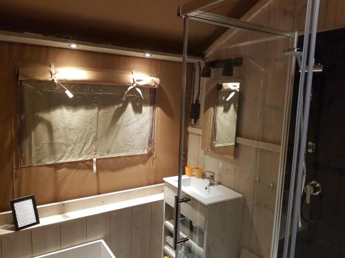 een kleine badkamer met een wastafel en een douche bij Safaritent Lodge 5 in Ruurlo