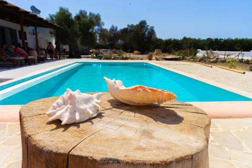 uma figura de um peixe e uma concha numa mesa perto de uma piscina em Villa Louloudia stylish luxury villa with private pool em Pitsídia