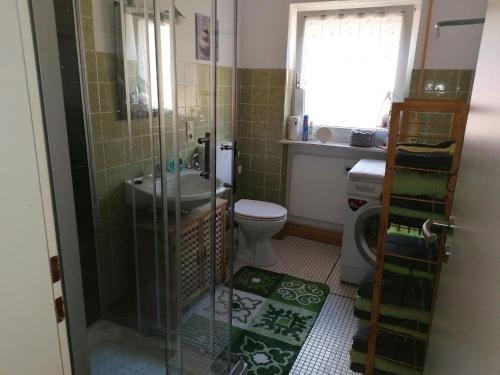 a bathroom with a shower and a toilet and a sink at Haus 6 in Fichtelberg
