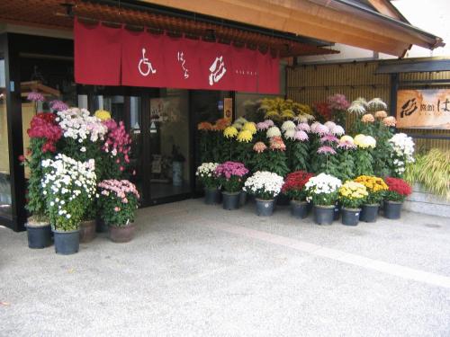 a bunch of flowers in pots in front of a store at Ryokan Hakura in Yamanouchi