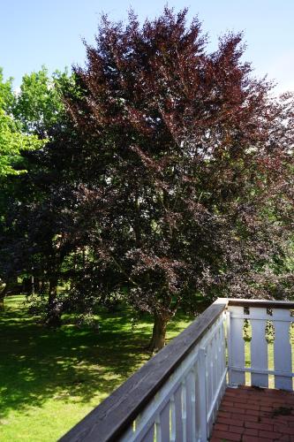 Galeriebild der Unterkunft Niedersachsen Hof in Bispingen