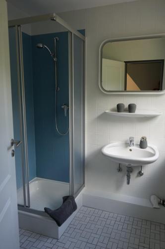 ein Bad mit einer Dusche, einem Waschbecken und einem Spiegel in der Unterkunft Niedersachsen Hof in Bispingen