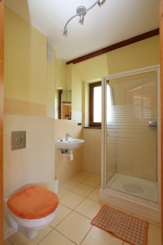 a bathroom with a shower and a toilet and a sink at Apartment Afryka in Rewal