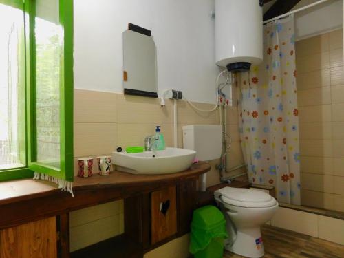 a bathroom with a sink and a toilet and a mirror at MARAMUREȘUL STRĂVECHI in Budeşti