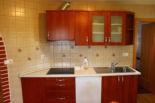 a kitchen with wooden cabinets and a sink at Apartments Jožetov grič - FARM STAY in Podčetrtek