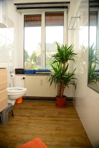 a bathroom with a toilet and two potted plants at Ferienanlage Markus Nitsch in Bärenstein